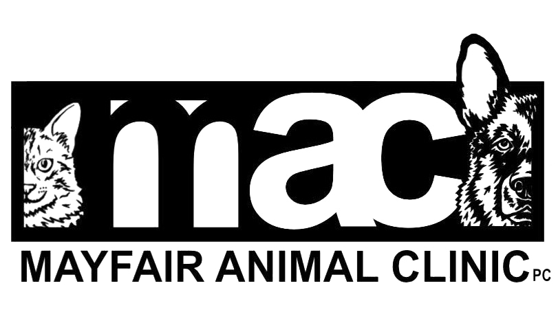 Mayfair Animal Hospital